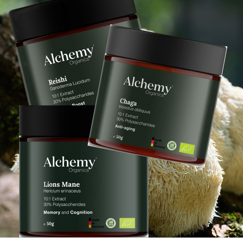 Mushroom Trinity Subscription : Reishi, Lion’s Mane & Chaga - SAVE $50